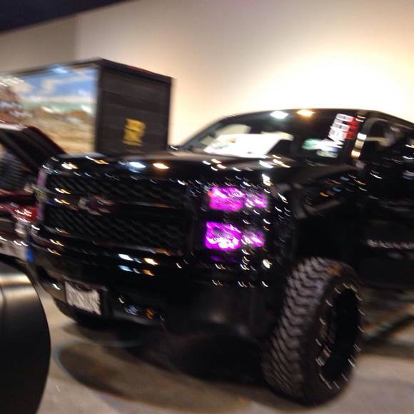 Meet your Posher, Jacob - Picture 1 of 1